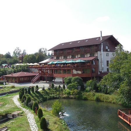 Complex Pastravaria Albota Arpaşu de Sus Dış mekan fotoğraf