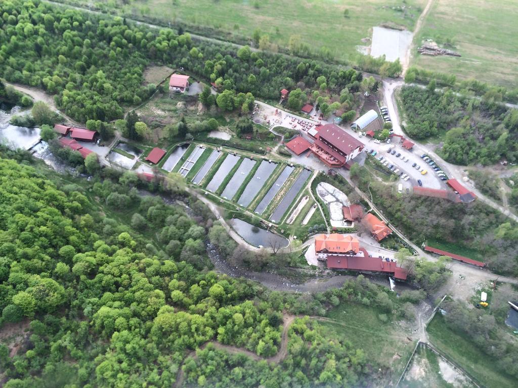 Complex Pastravaria Albota Arpaşu de Sus Dış mekan fotoğraf