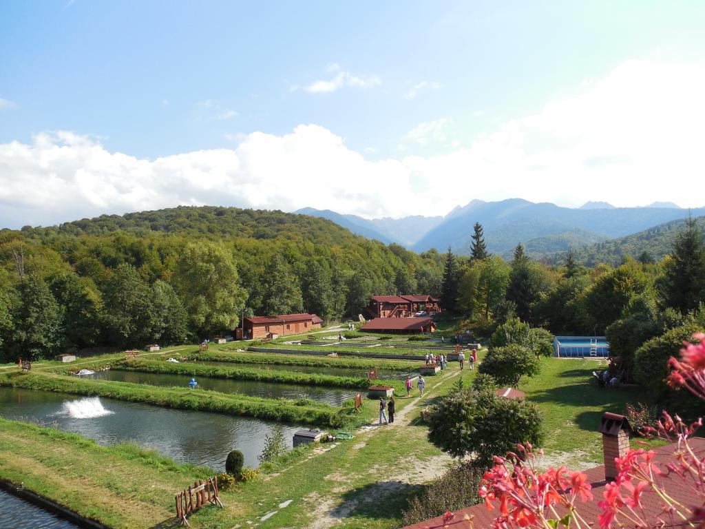 Complex Pastravaria Albota Arpaşu de Sus Dış mekan fotoğraf