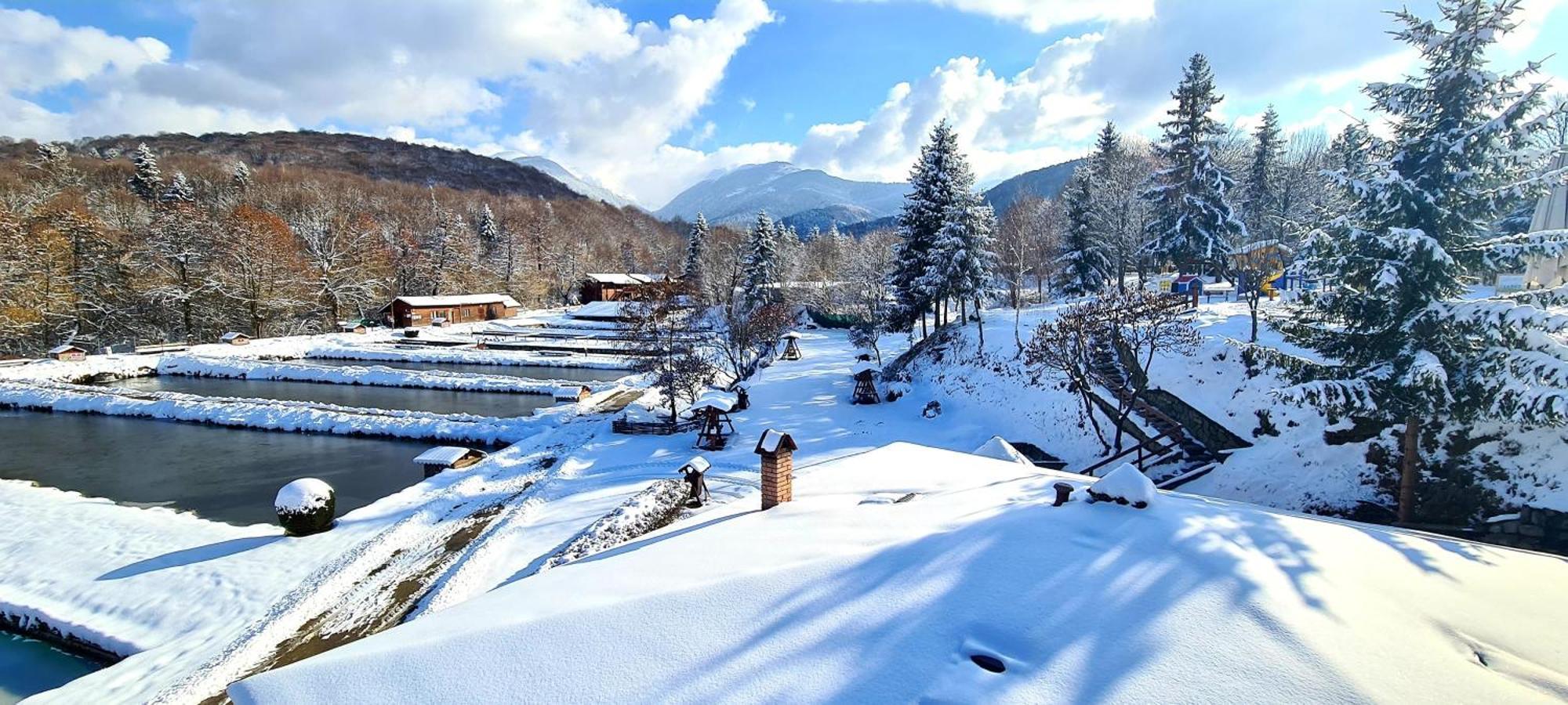 Complex Pastravaria Albota Arpaşu de Sus Dış mekan fotoğraf