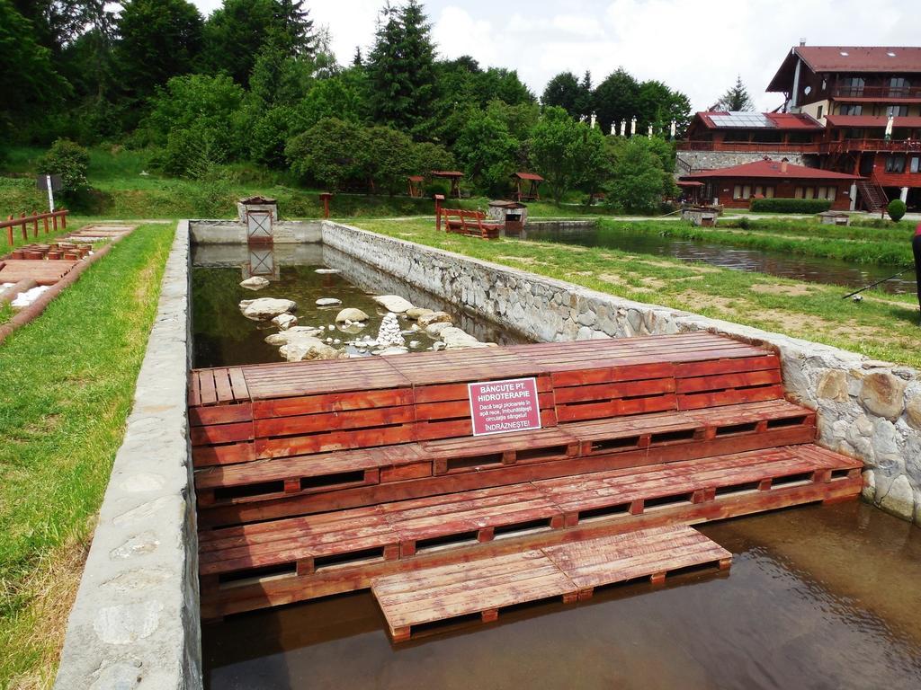 Complex Pastravaria Albota Arpaşu de Sus Dış mekan fotoğraf