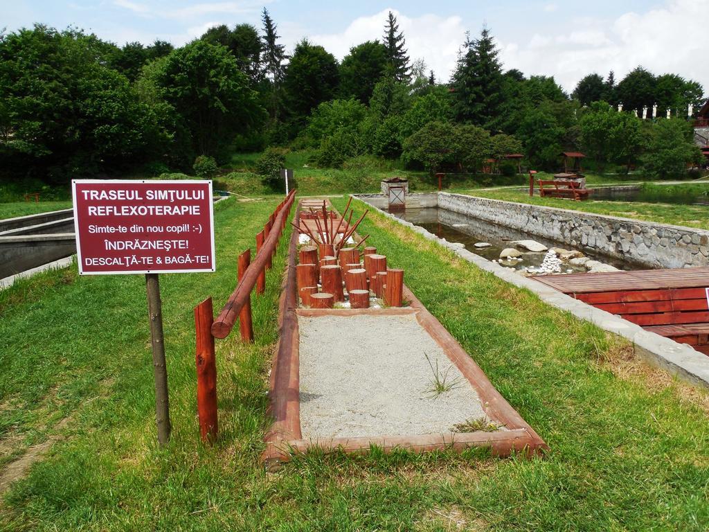 Complex Pastravaria Albota Arpaşu de Sus Dış mekan fotoğraf