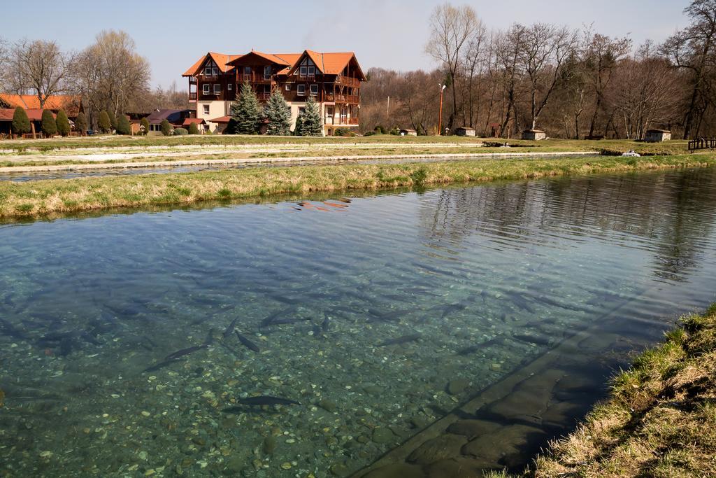 Complex Pastravaria Albota Arpaşu de Sus Dış mekan fotoğraf