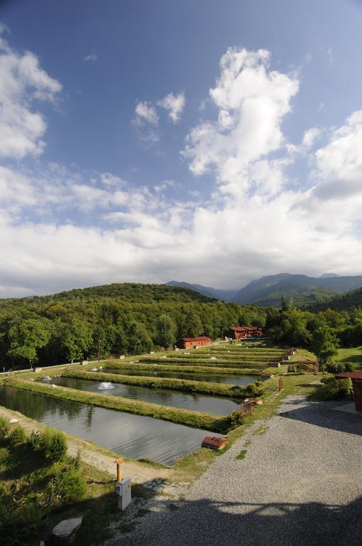 Complex Pastravaria Albota Arpaşu de Sus Dış mekan fotoğraf